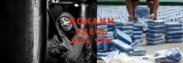 spice Богородицк