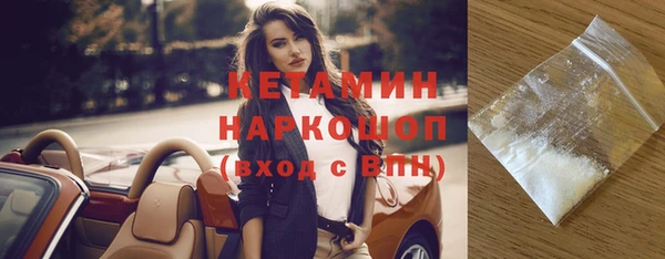 молекула духа Богданович