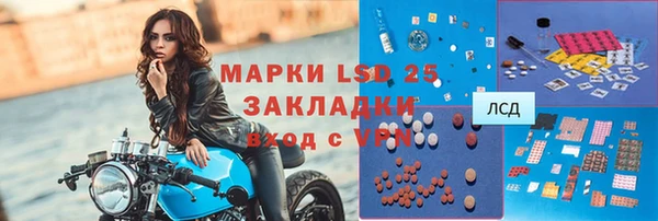 молекула духа Богданович