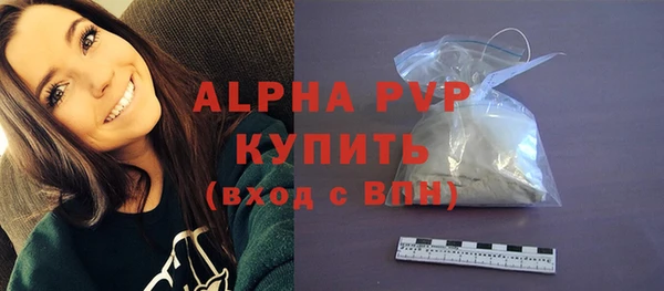 spice Богородицк