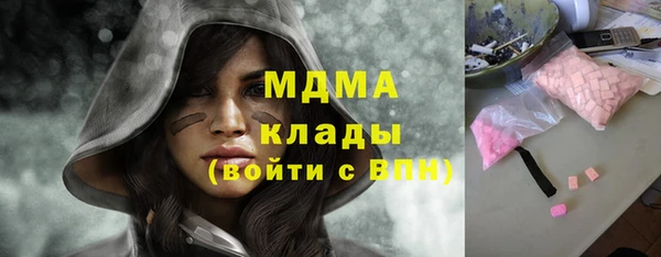 молекула духа Богданович