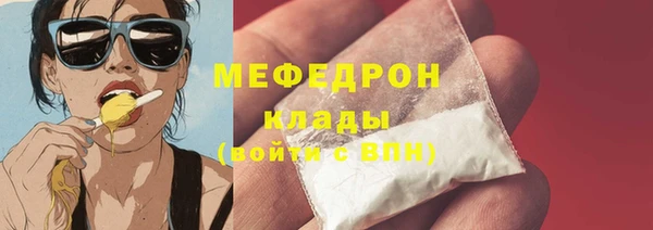 молекула духа Богданович