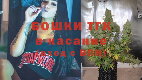 МДПВ Богородск