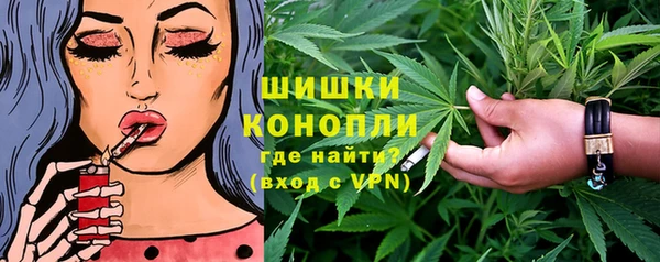 spice Богородицк