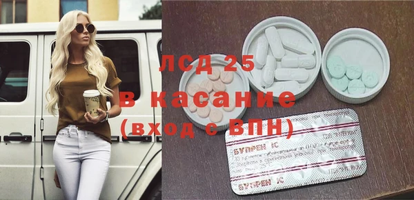молекула духа Богданович