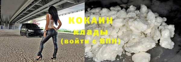 МДПВ Богородск