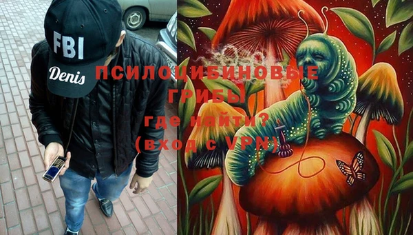 молекула духа Богданович
