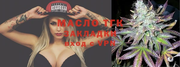 spice Богородицк