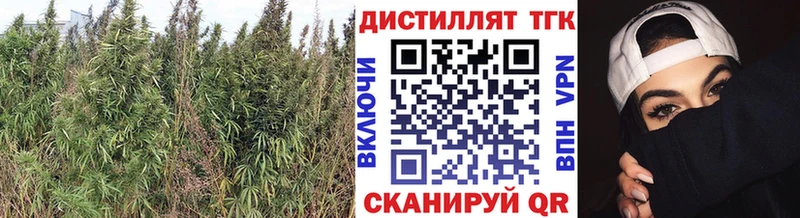 MEGA как войти сколько стоит Светлый ТГК THC oil